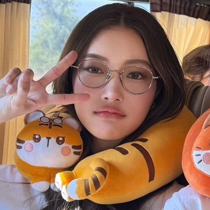 n0ro__'s tweet photo. they're a carbon copy of their neck pillows 😭 🐯 🦊 https://t.co/h9KFjEAq3I
