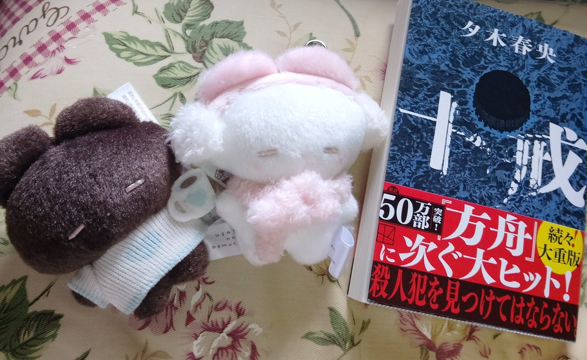 今から十戒を読んでいきますドキドキ😳💓💦 可愛いうさぎのねむちゃん