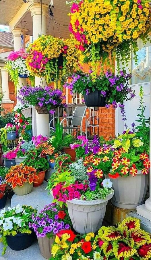 French126F's tweet photo. #colorful https://t.co/WELjPlgdd1