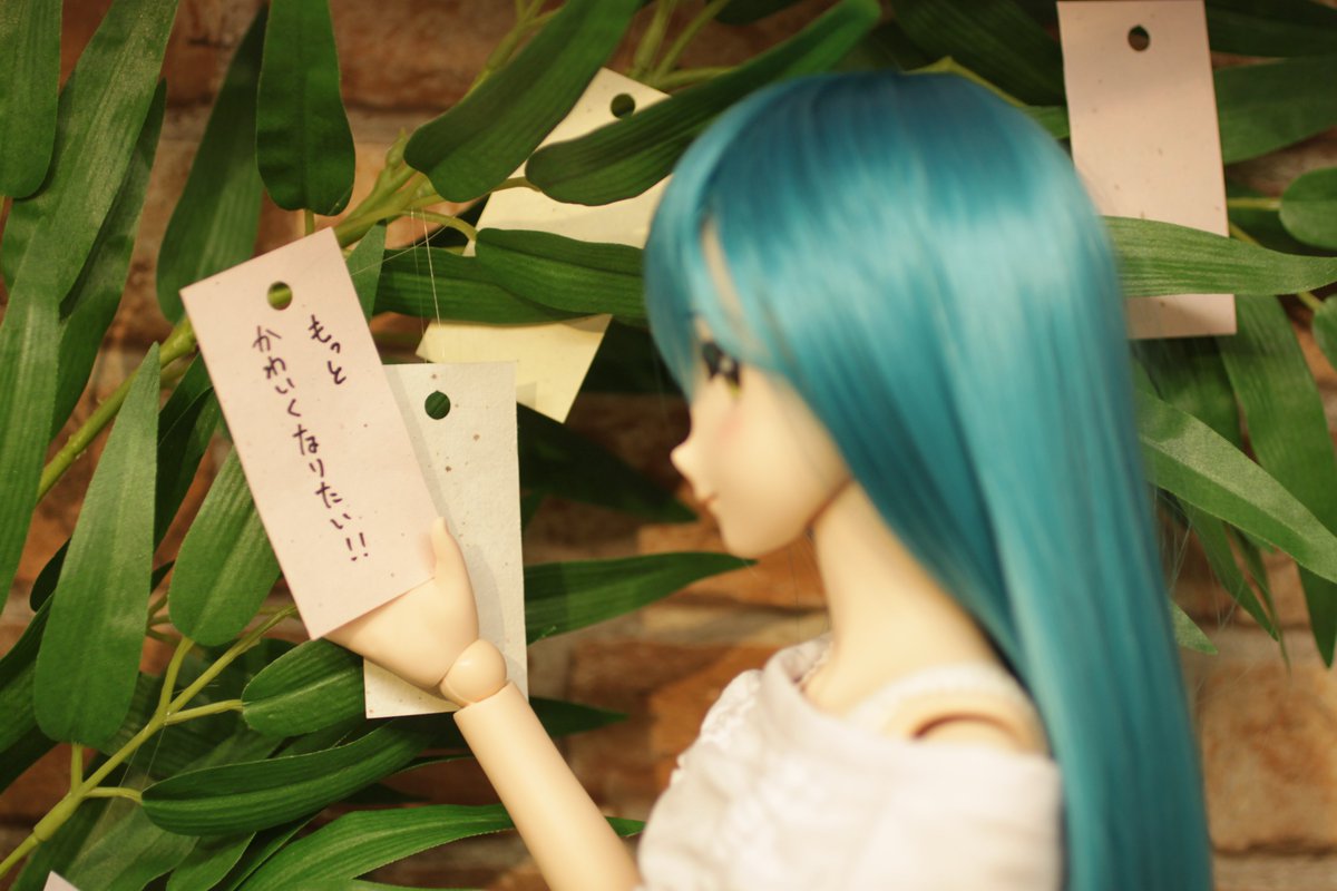 kidamaru_NV's tweet photo. 今日は七夕

写真は一昨年横浜すみかに遊びに行った時の https://t.co/HX6Jr53yNR