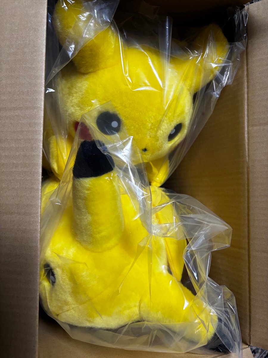 arakitagawa2's tweet photo. おかえり！！！ピカチュウ！！！ https://t.co/O6CEpuwAbd