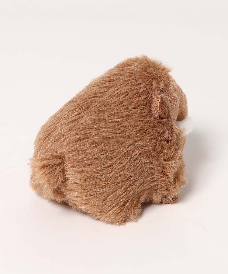 BleuBleuet_inc's tweet photo. 後ろ姿もかわいすぎるマンモス🦣

【WEB予約 7/16～順次発送】古代生物ぽちゃ
➡https://t.co/c4gPTyQM66
#ブルーブルーエ #bleubleuet #ぬいぐるみ https://t.co/yyCIayBGHg