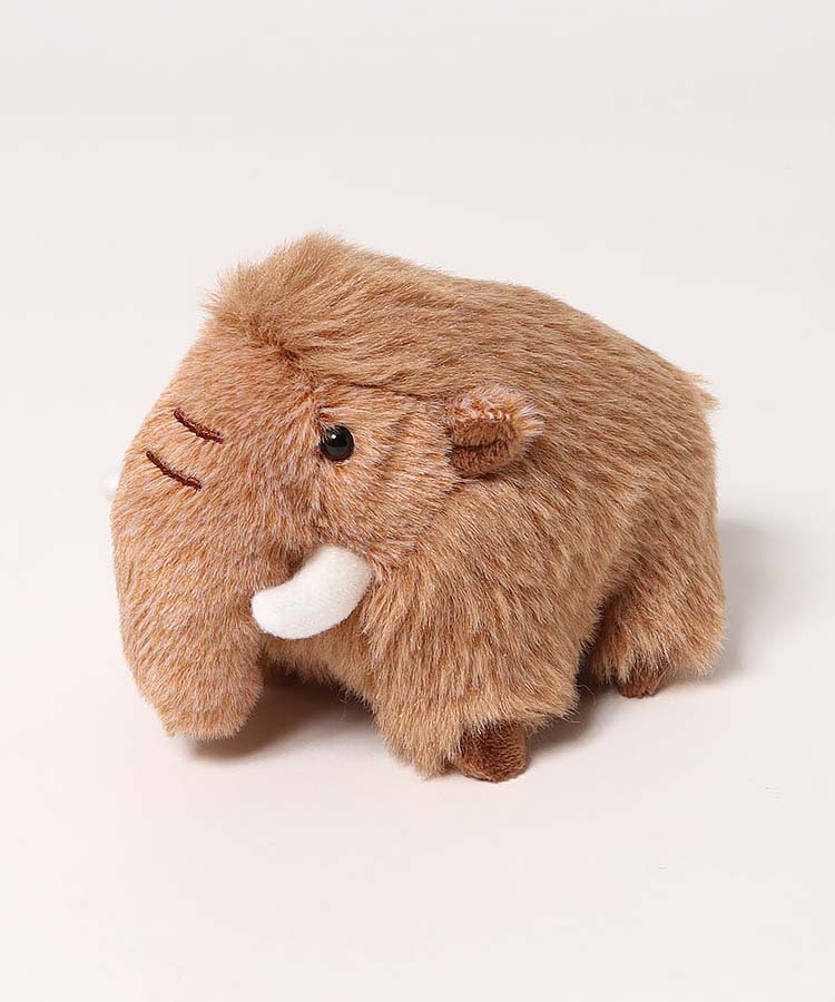 BleuBleuet_inc's tweet photo. 後ろ姿もかわいすぎるマンモス🦣

【WEB予約 7/16～順次発送】古代生物ぽちゃ
➡https://t.co/c4gPTyQM66
#ブルーブルーエ #bleubleuet #ぬいぐるみ https://t.co/yyCIayBGHg
