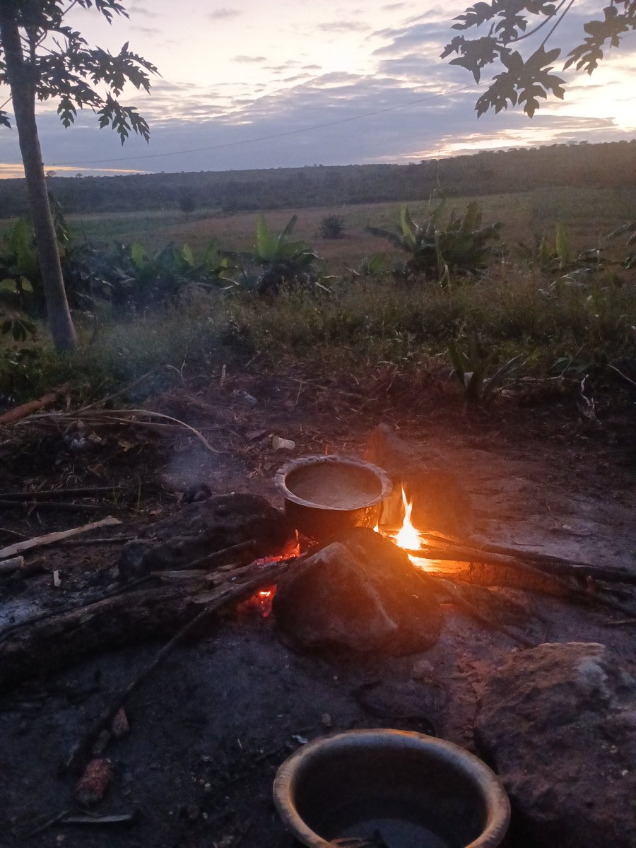Director_Reuben's tweet photo. Mithali 17:13
Yeye arudishaye mabaya badala ya mema, Mabaya hayataondoka nyumbani mwake. #msukumafarm #ufugaji #kukuwakienyeji https://t.co/cCOyFFRcaw