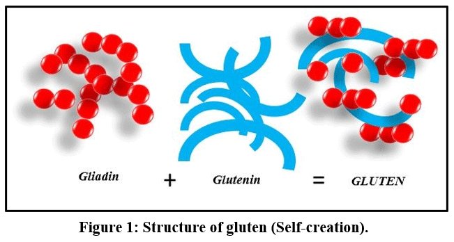 biotech_asia's tweet photo. Emerging Pharmacological and Immunotherapeutic Strategies in Celiac Disease: From Mechanisms to Clinical Translation
Read the Article here: https://t.co/64MqFfxOK4
#Celiacdisease #Emergingtherapies #Enzymetherapy #Gluten #Immunotherapy #Pharmacologicaltreatment https://t.co/ItjLGBf1AS