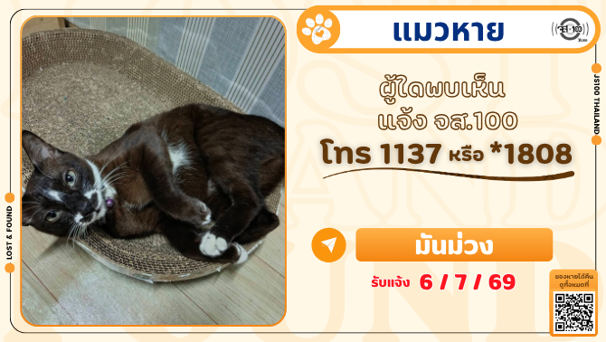 js100radio's tweet photo. แมวหลุดหายจากกระเป๋าระหว่างทาง จากซ.สิรินธร2 - ซอยรามบุตรี ผู้ใดพบเห็นแจ้ง JS100 โทร *1808 หรือ 1137

รายละเอียดเพิ่มเติม : https://t.co/Mh2WdTA05l

#แมวหาย #ตามหาแมว #JS100 https://t.co/SsKgQleDxM