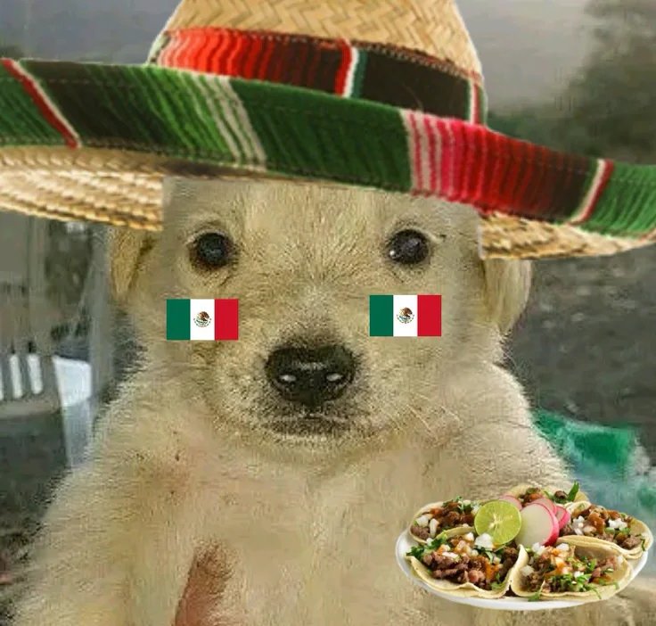 𝑮𝒆𝒂🇲🇽⁷ tweet media