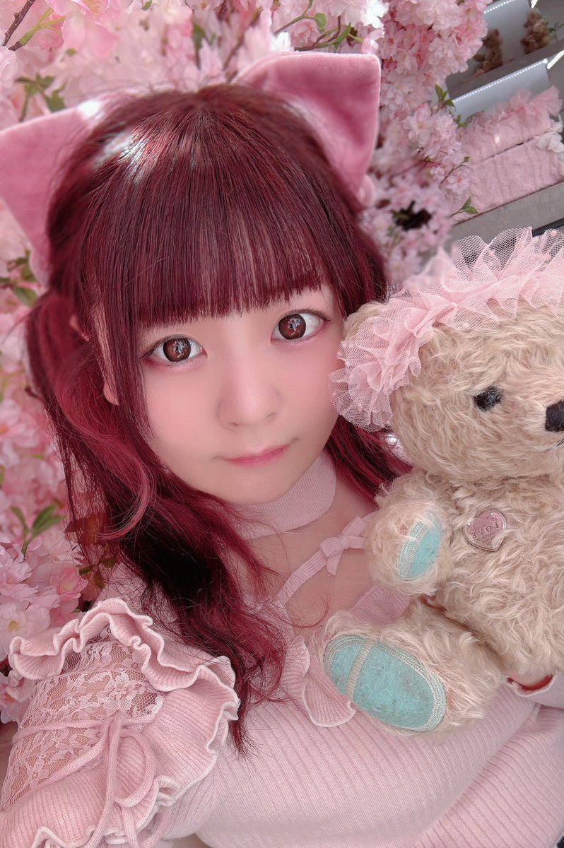 _haruka__65's tweet photo. 七夕なので帰ったらジラーチイベント走り切ります🎋🌟⋆꙳

みんなはお願い事した〜໒꒰ྀི∩˃ ᵕ ˂∩꒱ྀི১？？ https://t.co/NOg3zX6Mlb