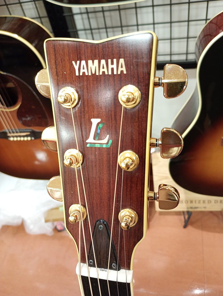 イシバシ楽器梅田店]アコギフロア担当Hです🎸 YAMAHA LL8J