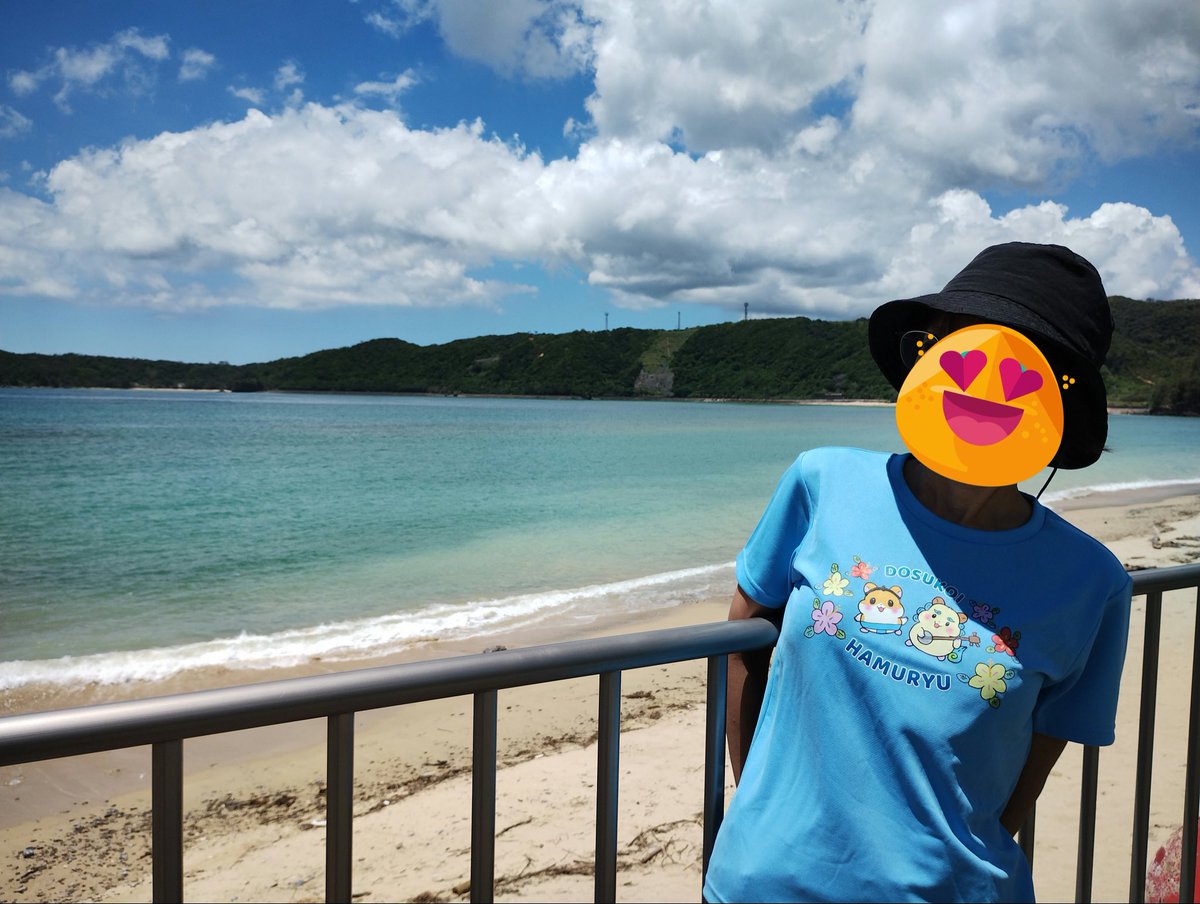 FishKanji's tweet photo. ハム琉Tシャツを着てドライブしてきました🚗³₃
夏休みに入るとどこも混雑して
引きこもりになるので今のうち遊んでます！ https://t.co/PuxV0wRtCq