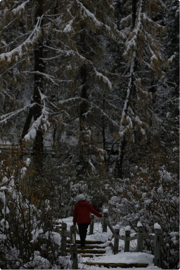 Schlammkrabbe's tweet photo. Cold front’s here!  Mornings are frosty, afternoons stay crisp—perfect for a hot cocoa walk. Grab your scarf and have a lovely week! https://t.co/58RLAMVrTd