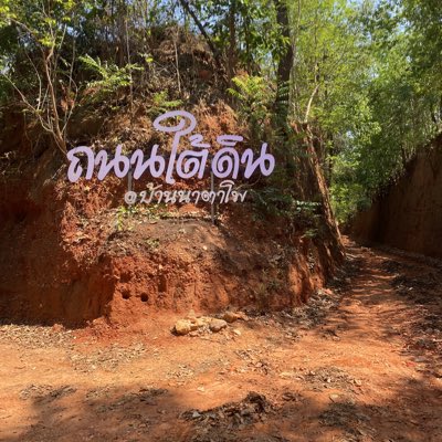 Tang555551's tweet photo. #NewProfilePicสวยงามตามธรามชาติ https://t.co/yupJlyEfST