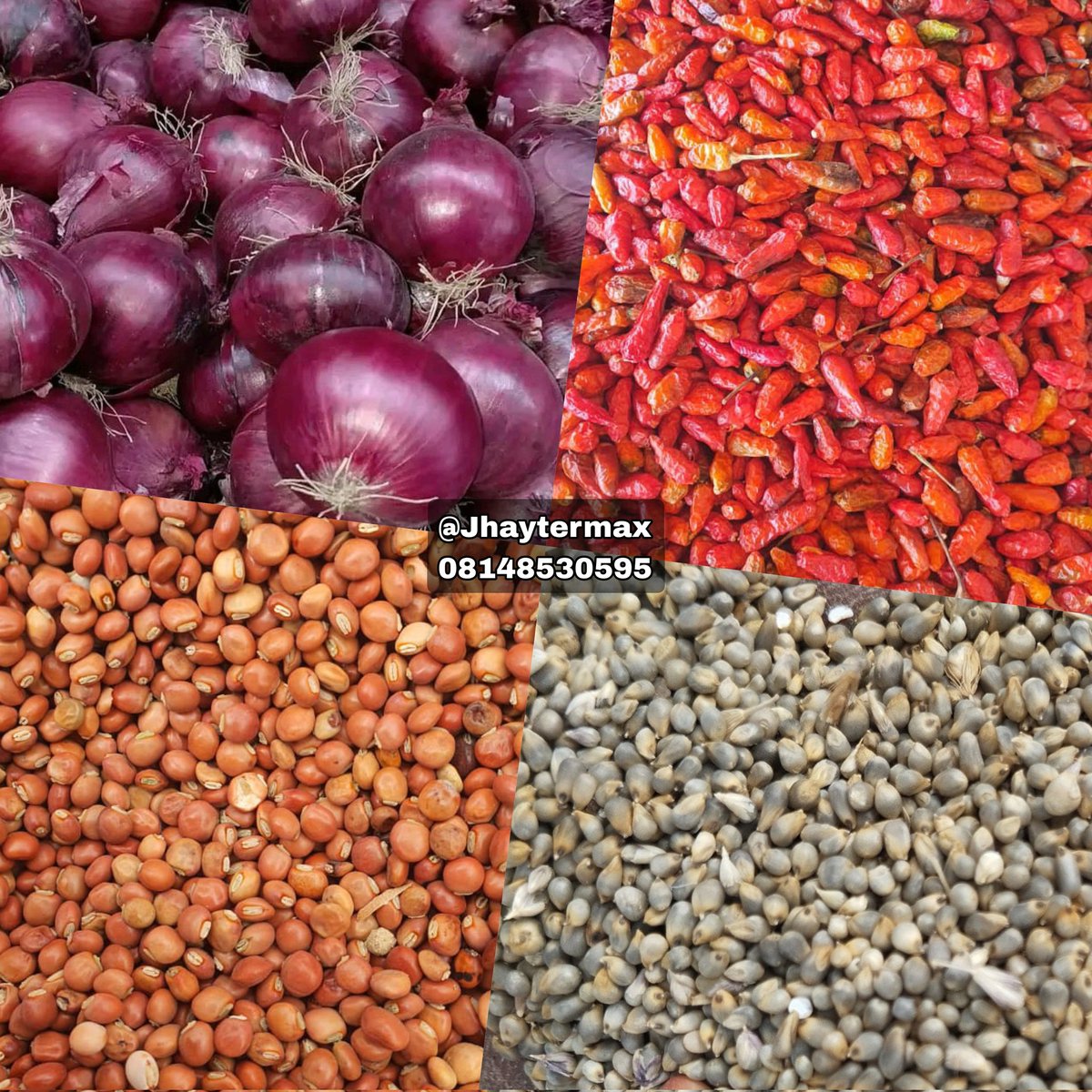 Jhaytermax's tweet photo. TUESDAY, 7th JULY 2026// WEEK 28. JHAYTERMAX — AGRO COMMODITIES HIGHLIGHTED PRICE LIST.

*see footnotes

1. ✅Onions (Jimbo bag)
[kg: N/A]
🪣: 38-40+
🔺₦73,000/bag

2. Onions (Red bag)
[kg: N/A]
🪣: 12
🔺₦32,000/bag https://t.co/WnSwRtGv0u
