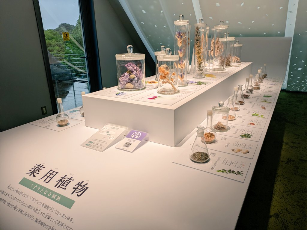 85wszy's tweet photo. 佐賀。💊博物館。 https://t.co/tBv1JNoua7