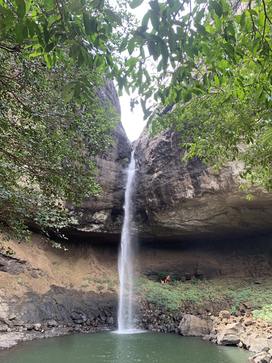 theartcam's tweet photo. waterfalls near pune https://t.co/dqyKc0JDwX