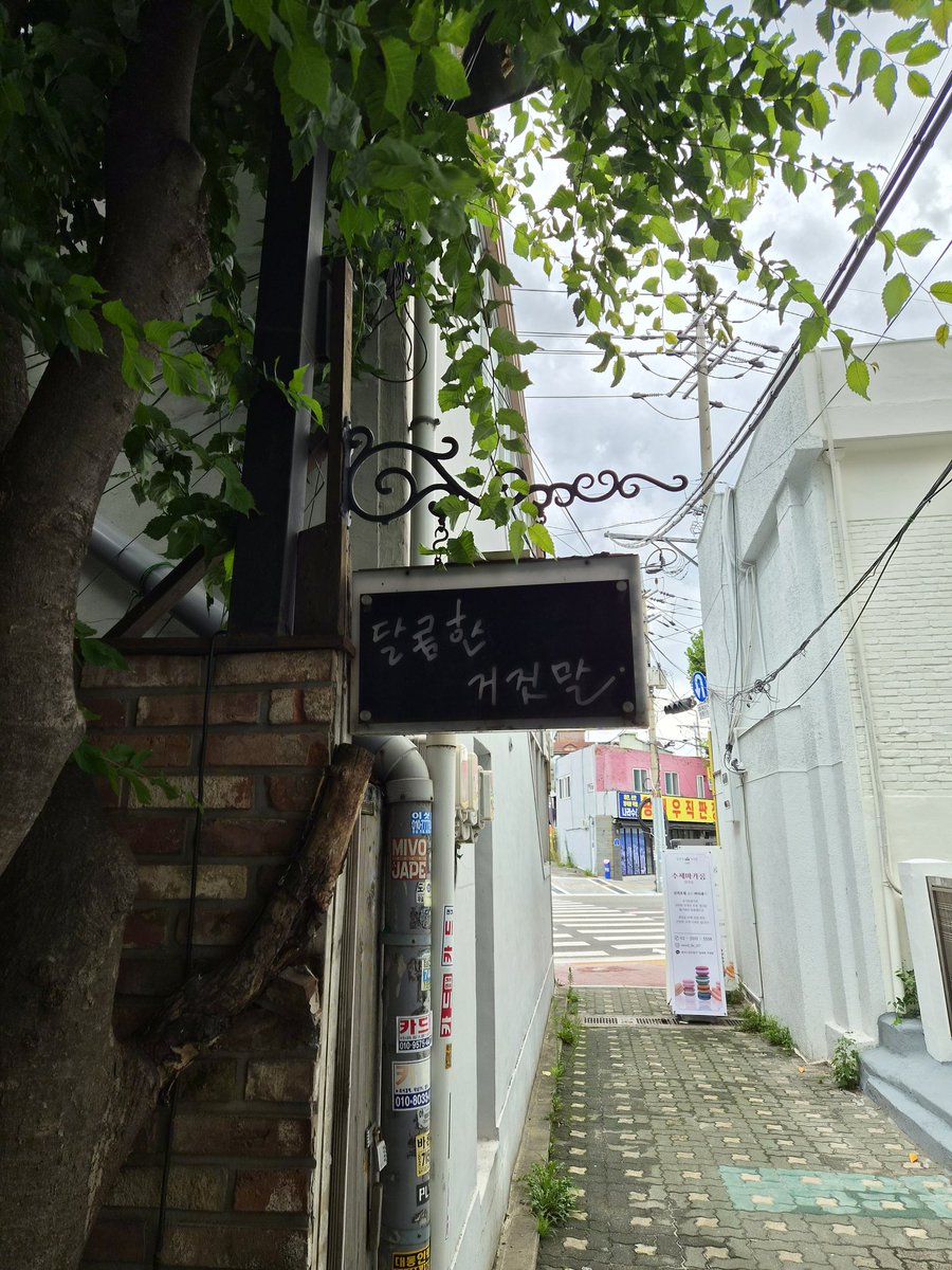 Kmuy_SENG's tweet photo. #nanaiary

'26. 7. 7.
금일 팝업을 갔다가 그냥가기가 아쉬워서 나나님이 추천해 주신 카페에 다녀왔습니다!!

추천해주신 메뉴인 얼그레이라떼와 시그니쳐라고 적혀있던 딸기생크림 조각케잌을 시켰습니다!!

밖에 전시된 케잌 말고도 쿠키같은 디저트들도 많았는데 아쉽게도 배가 불러서....

카페가 굉장히 분위기가 좋았어요. 심지어 가져나는 방식이 아니라 직접 가져다 주시는게 넘 편했어요

케잌과 얼그레이 라떼를 받았는데 먼가 다른분들이 찍은 사진과 다른것같았어요... 음료가 먼가 많이 하얗더라구요? 얼그레이 밀크티랑 얼그레이 라떼랑은 다른거 같았습니다 ㅠㅠ 잘못시켰니 싶었는데, 오히려 우유에 퍼지는 은은한 얼그레이향이 차를 잘 못 마시는 저에게 정말 안성맞춤이였어요!! 딸기케잌은 딸기가 제철이 아닌데도 불구하고 많이 들어가있었고 생크림과의 조화가 좋았어요

담에 갈때는 점심을 좀 적게 먹고 추천해주신 라멘집을 가볼까해요. 라멘집갔다가 카페갔다 팝업 가게되면 식도락 투어하느라 엄청 바쁘겠네요 ㅋㅋㅋ

덕분에 재밌게 팝업 즐기고 맛있게 잘 먹었습니다!!