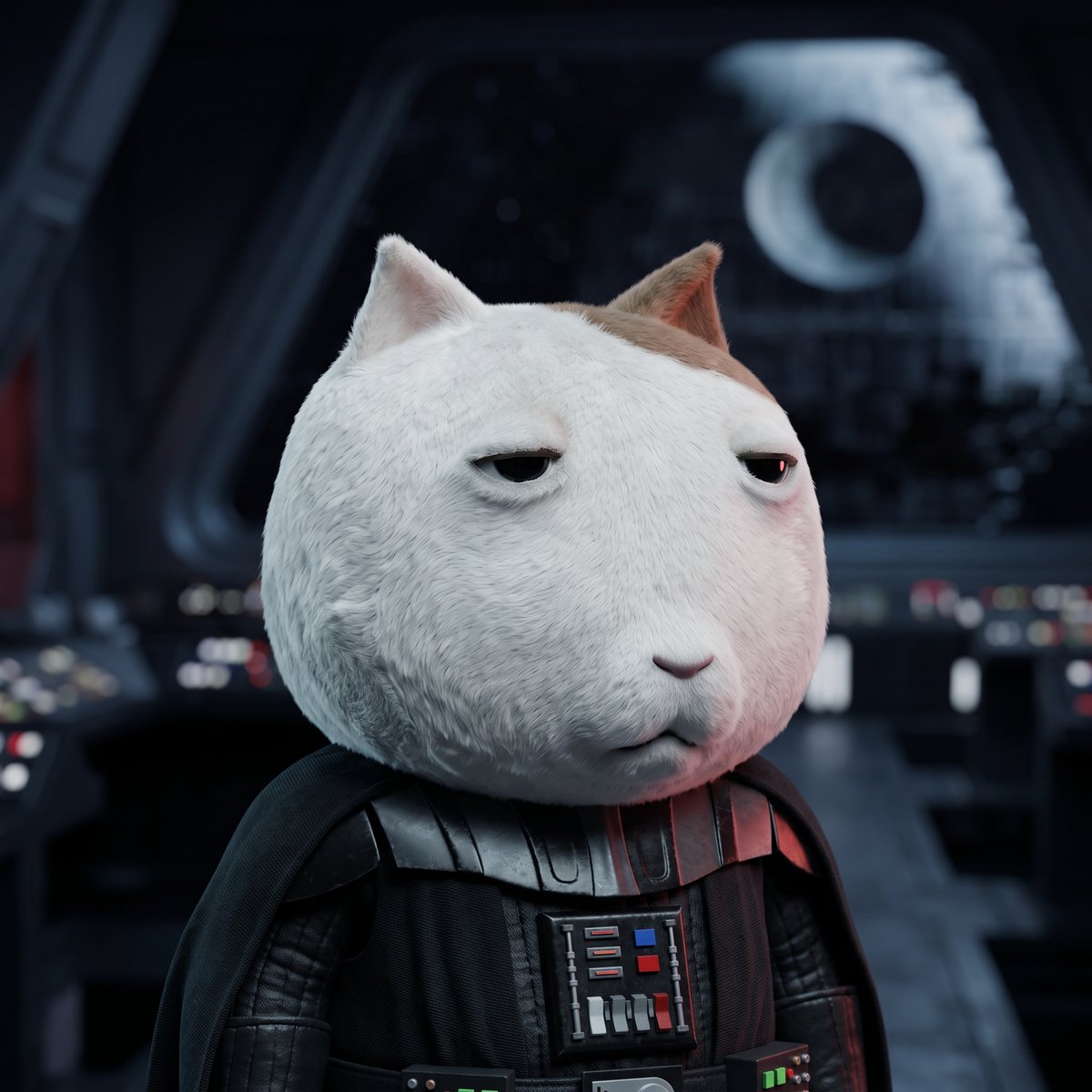 ket_on_solana's tweet photo. the solana:9Pfync3ejPC9eHqVzq3nYQJAhyhjqpnB9UsaSfLxpump  pfp cult is forming

get your own ket pfp at https://t.co/4KO3i7U2BB
drop yours in the replies

following every ket pfp https://t.co/UzQKxAHlsP