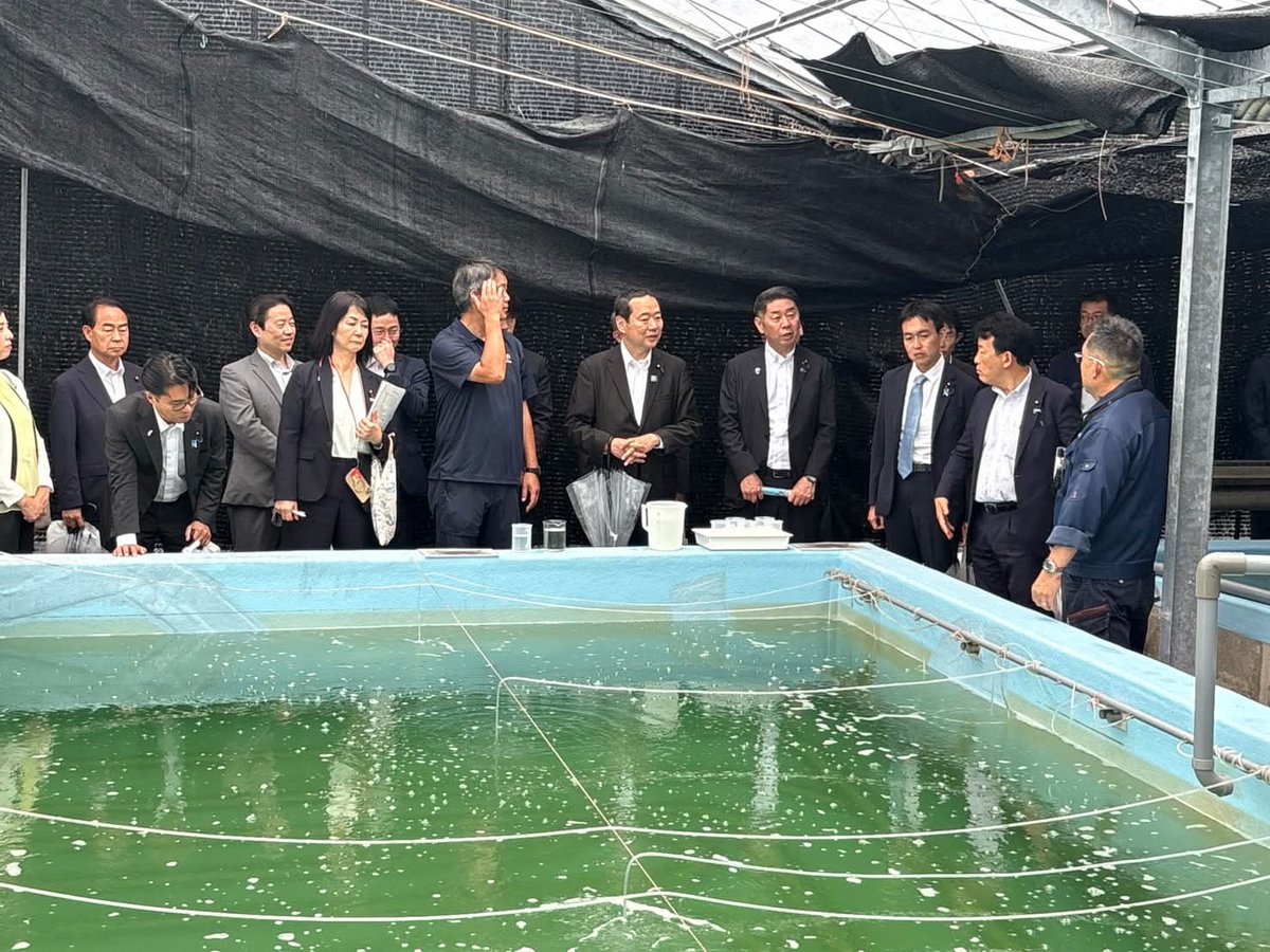 KONYosuke0118's tweet photo. 7月6日（月）、衆議院農林水産委員会での視察として、静岡県・伊豆地域での養殖漁業に関する取組を見させていただきました。

最初にお伺いした、国立研究開発法人水産研究・教育機構では、ウナギの人工種苗の研究をされています。完全養殖に世界で最初に成功した機関で、一尾の種苗（ウナギの稚魚）を現在では1800円で生産できるまで技術が進んでおり、これからその社会実装に取り組まれるとのことでした。
このような日本が誇る大切な技術を、社会に着実に広めるとともに、知財として保護していく必要性を感じました。

次にお伺いした、静岡県温水利用研究センター沼津分所では、マダイやアワビ、ノコギリガサミ（カニの一種）などの養殖を行い、県内の各地に提供しているそうです。
これから施設を新しくして、閉鎖循環システムの導入などを通じて更なる生産拡大を目指すとのことでした。

最後に、養殖マダイ日本一を誇る、内浦漁業協同組合の皆さまとの意見交換をさせていただきました。
資材・燃油の高騰による影響や、施設の老朽化への対応、さらには気候変動による水温上昇等の影響（環境変化による漁獲量や魚種の変化など）など、多岐にわたる課題をお教えいただき、今後の政策に生かしていかなければならないとの思いを新たにいたしました。

日本の漁業総生産量は令和6年で364万トンですが、そのうち養殖業は約22％を占めます。これからますます重要性が増してくる養殖業を、しっかりと支えていきます。
#衆議院議員 #福井 #自民党 #今ようすけ #対話から福井を未来へ