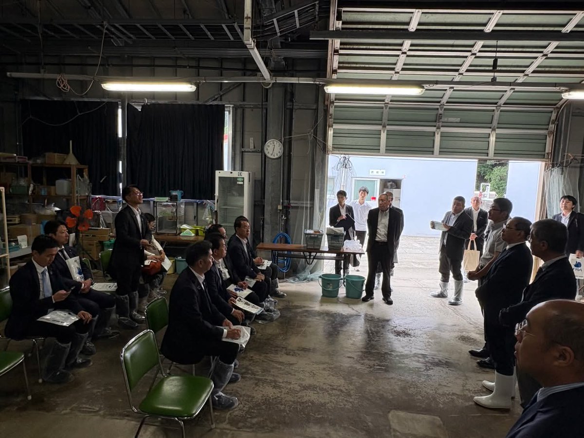 KONYosuke0118's tweet photo. 7月6日（月）、衆議院農林水産委員会での視察として、静岡県・伊豆地域での養殖漁業に関する取組を見させていただきました。

最初にお伺いした、国立研究開発法人水産研究・教育機構では、ウナギの人工種苗の研究をされています。完全養殖に世界で最初に成功した機関で、一尾の種苗（ウナギの稚魚）を現在では1800円で生産できるまで技術が進んでおり、これからその社会実装に取り組まれるとのことでした。
このような日本が誇る大切な技術を、社会に着実に広めるとともに、知財として保護していく必要性を感じました。

次にお伺いした、静岡県温水利用研究センター沼津分所では、マダイやアワビ、ノコギリガサミ（カニの一種）などの養殖を行い、県内の各地に提供しているそうです。
これから施設を新しくして、閉鎖循環システムの導入などを通じて更なる生産拡大を目指すとのことでした。

最後に、養殖マダイ日本一を誇る、内浦漁業協同組合の皆さまとの意見交換をさせていただきました。
資材・燃油の高騰による影響や、施設の老朽化への対応、さらには気候変動による水温上昇等の影響（環境変化による漁獲量や魚種の変化など）など、多岐にわたる課題をお教えいただき、今後の政策に生かしていかなければならないとの思いを新たにいたしました。

日本の漁業総生産量は令和6年で364万トンですが、そのうち養殖業は約22％を占めます。これからますます重要性が増してくる養殖業を、しっかりと支えていきます。
#衆議院議員 #福井 #自民党 #今ようすけ #対話から福井を未来へ