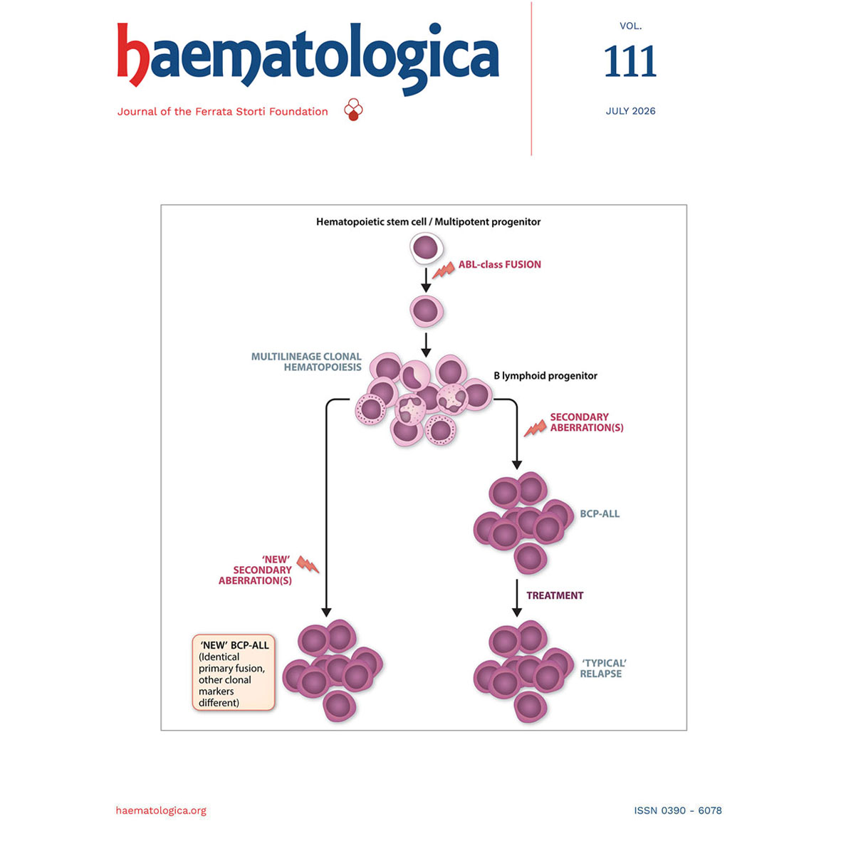 Haematologica's tweet photo. Review series on CML: from diagnosis to treatment-free remission, prognostic factors continue to shape clinical decision-making in CML. A new review explores how risk assessment of CML is evolving.
https://t.co/kFvqBfiIjl https://t.co/jLKXM6WSjU