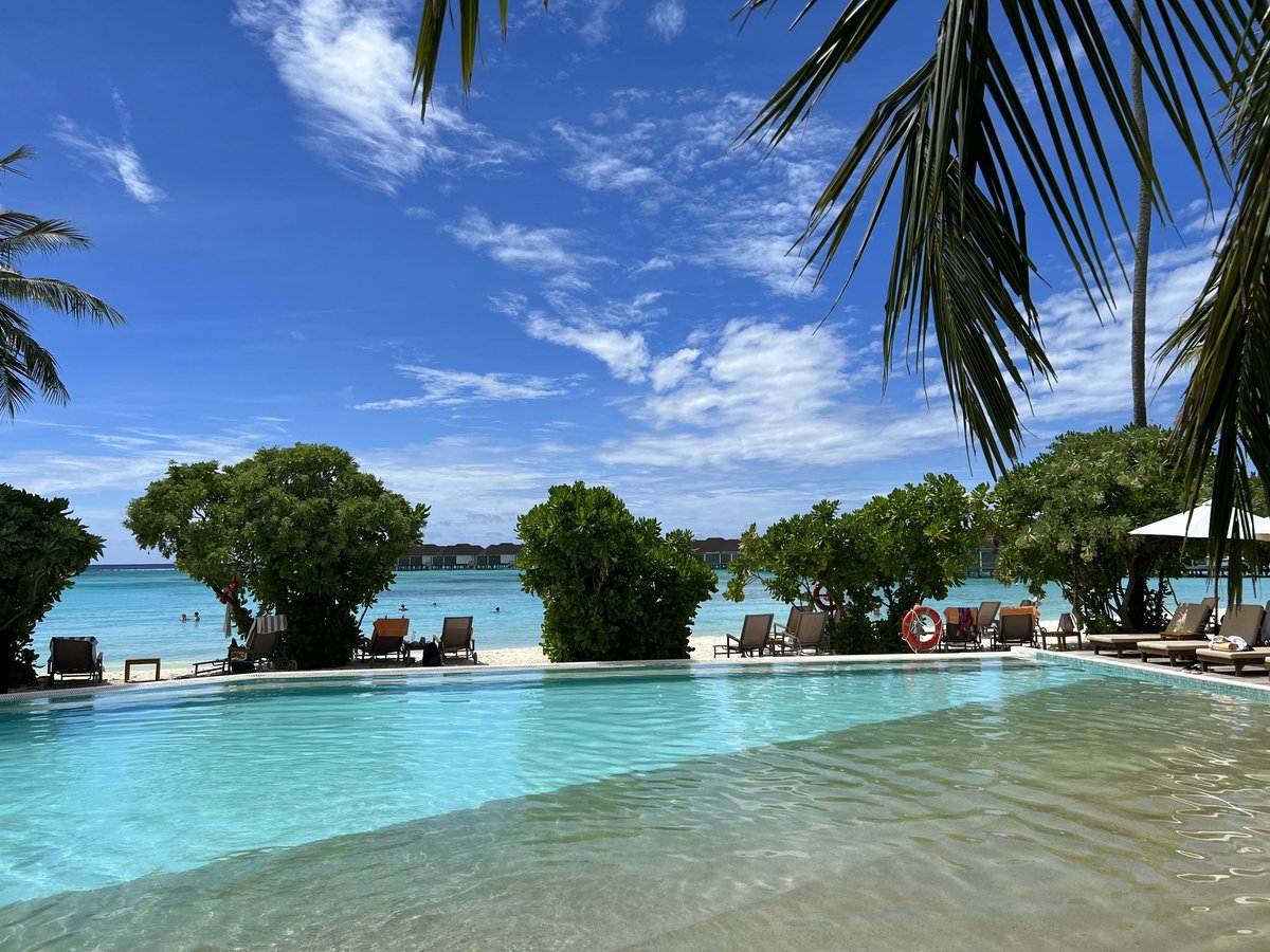 webcamera24's tweet photo. 🇲🇻 Maldives 

🔗 Maldives webcams:
https://t.co/43hSiaTPVg
📱 Android app:
https://t.co/mz8HNN4cz6

#webcamera24 #maldives #maldivesislands #maldivesresorts #maldiveslovers #maldiveslove #maldivestravel #maldivestrip #maldivestravelling #maldivesphoto #maldivesphotography https://t.co/D7iaHEv22W