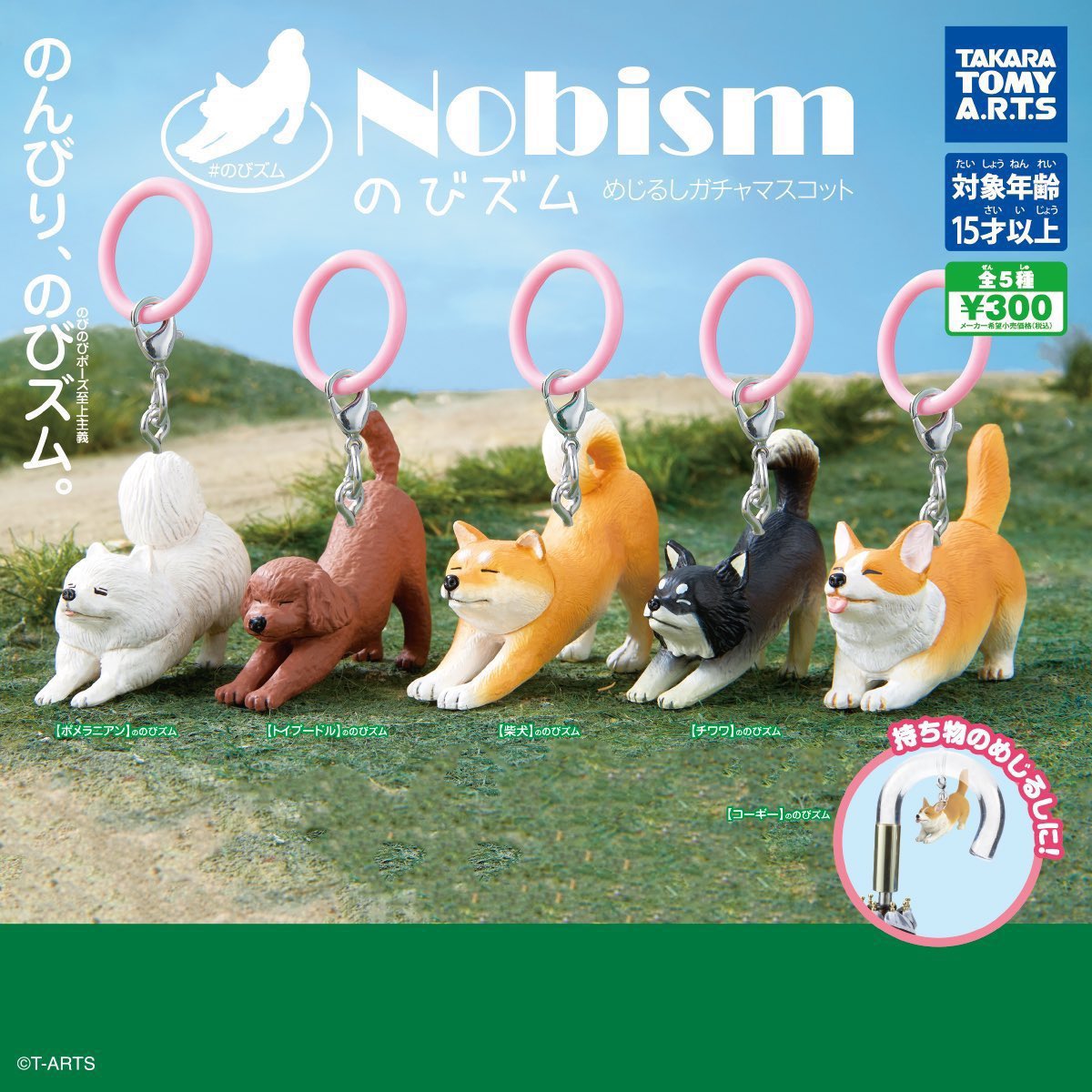 s___37709's tweet photo. Nobism めじるしガチャマスコット

求 柴犬

譲 トイプードル×2 コーギー ×1

郵送での交換のみ
気軽にお声がけください！

#Nobismめじるしガチャマスコット
#交換 https://t.co/cMXqe9wvFE
