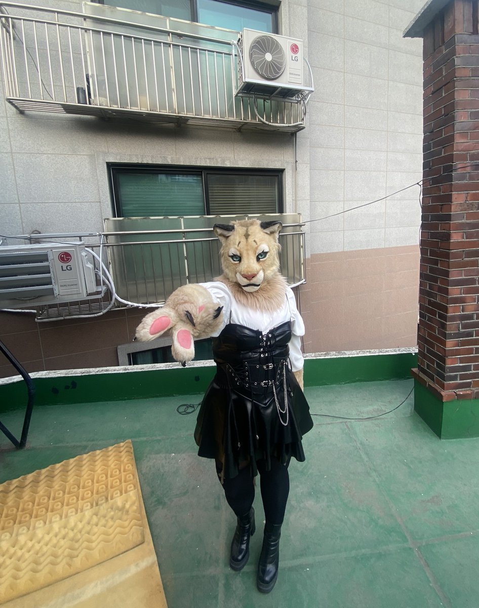 oreogunbbang's tweet photo. 퍼리 야호~ https://t.co/U3YEENICqc