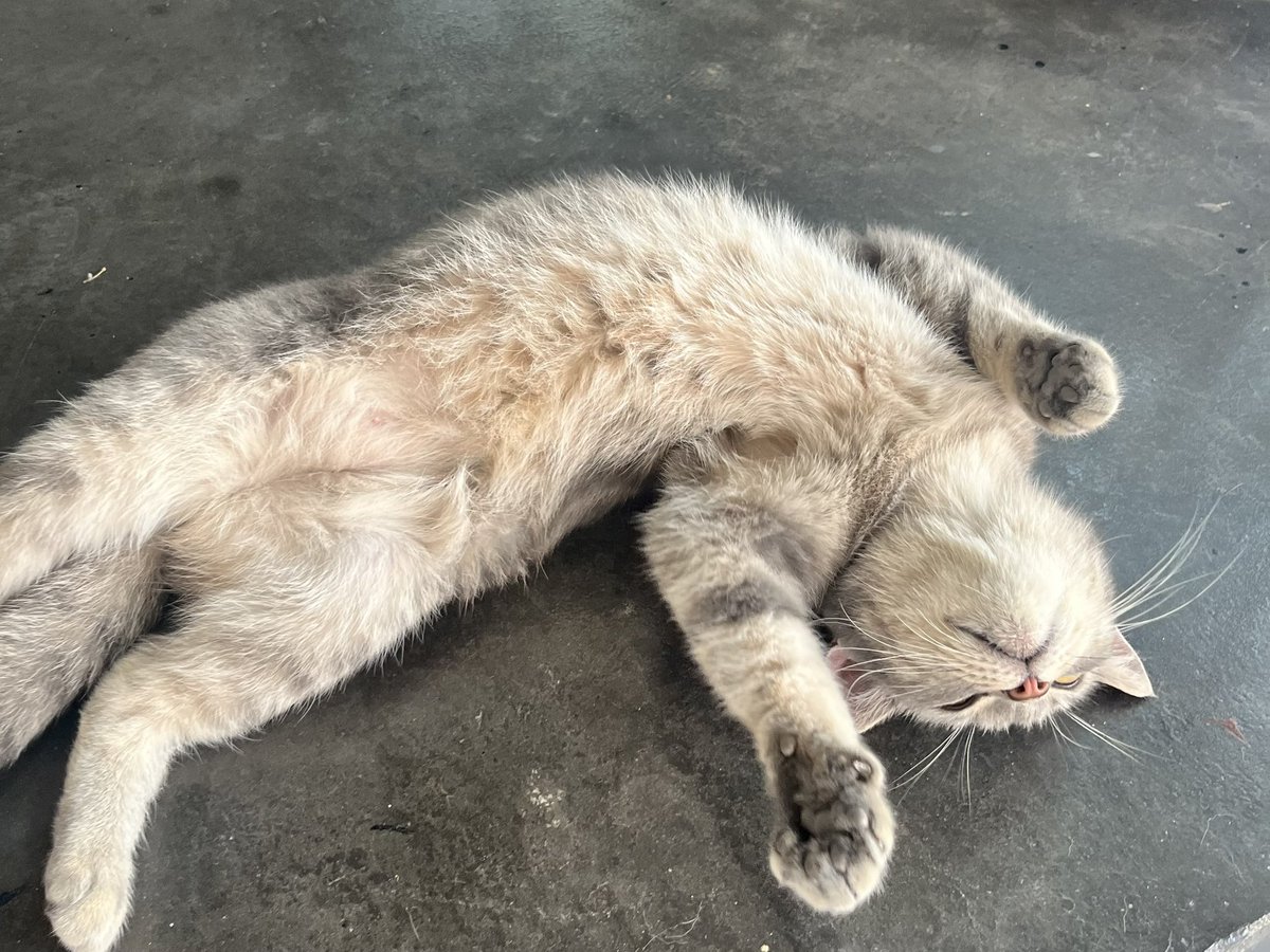navyblueu__'s tweet photo. ดังแล้ว ขอเปียกหน่อยค้าบ https://t.co/5cEt55j1bK