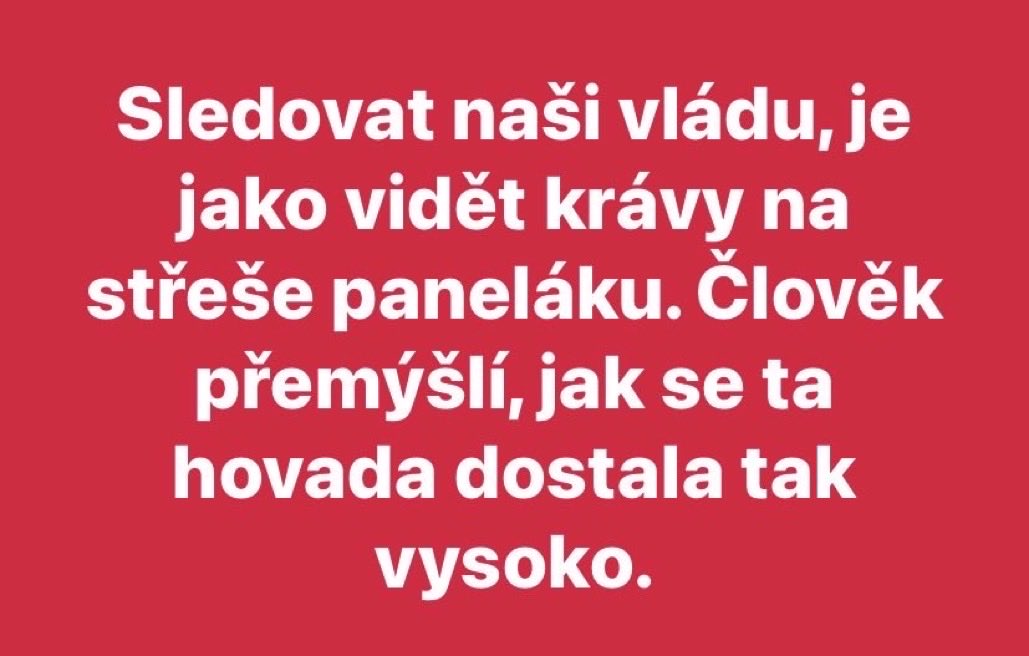 TomasDoupa39474's tweet photo. 😎 https://t.co/soGDZR3lhV