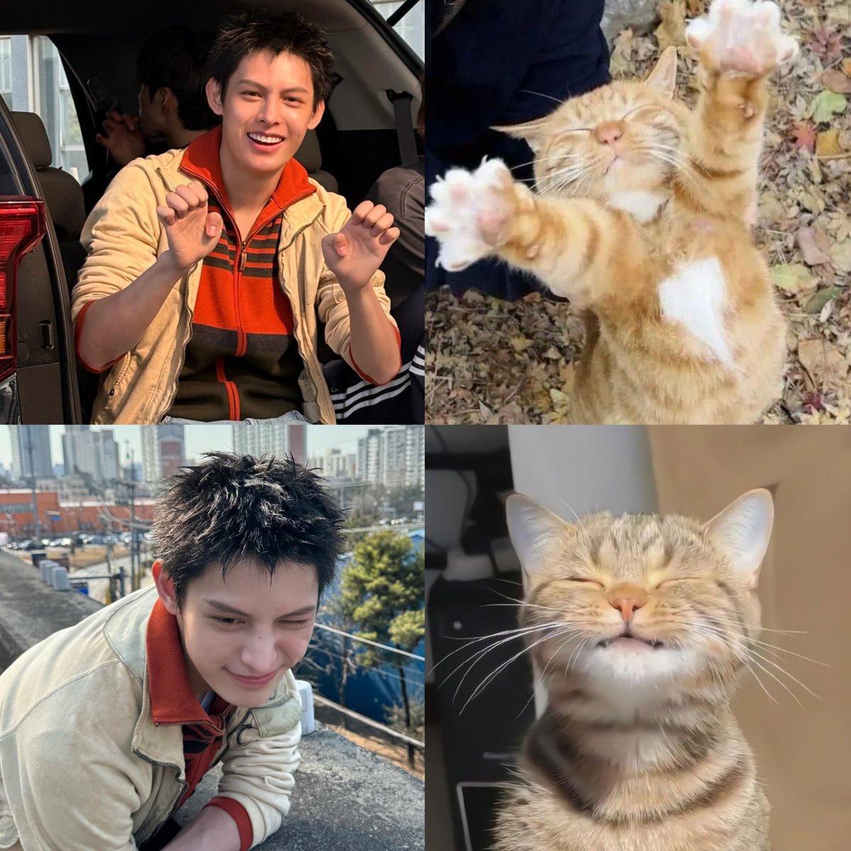 withcortis4life's tweet photo. my jjami you're a certified kitty 😭 #james https://t.co/IlGMFwPgXV