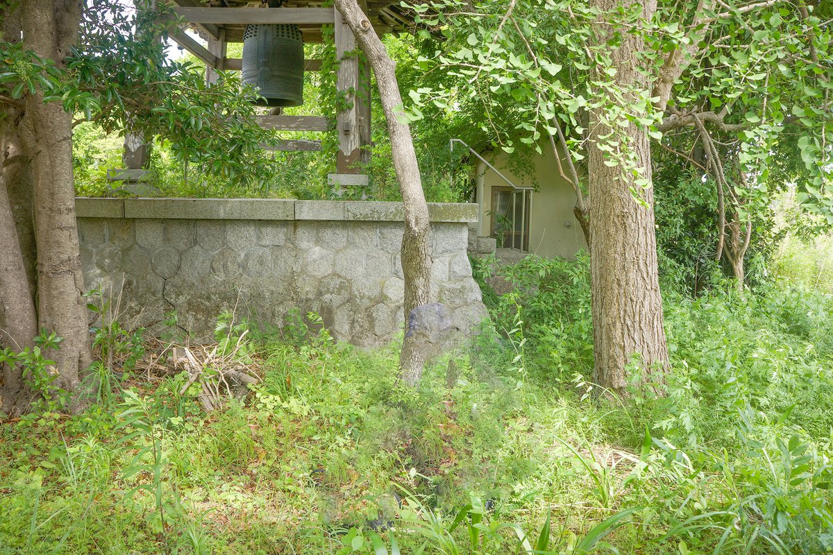 hiroma_misumi's tweet photo. 2026年5月福島県双葉郡双葉町新山広町　　光善寺  地表線量 0.332μSv/h 50cmでγ 17,100カウント/分。町の中心部になります。原発から約3kmで東電製セシウム137は検出され、門徒も住職も避難されている。 https://t.co/xel5s28Qu0