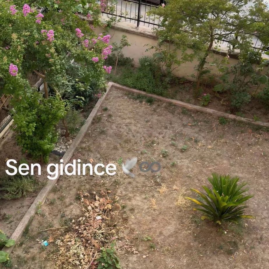 gusholderhaber's tweet photo. Babası vefat eden bir kadının paylaşımı:

"Sen varken, sen gidince.." https://t.co/m8Seov5Foy