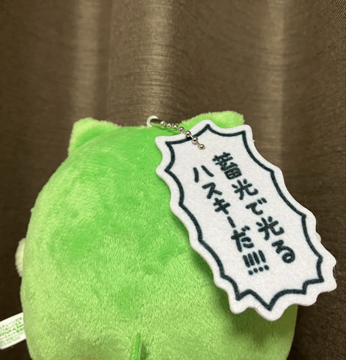 おはん (@shibaken_nu) / Posts / X