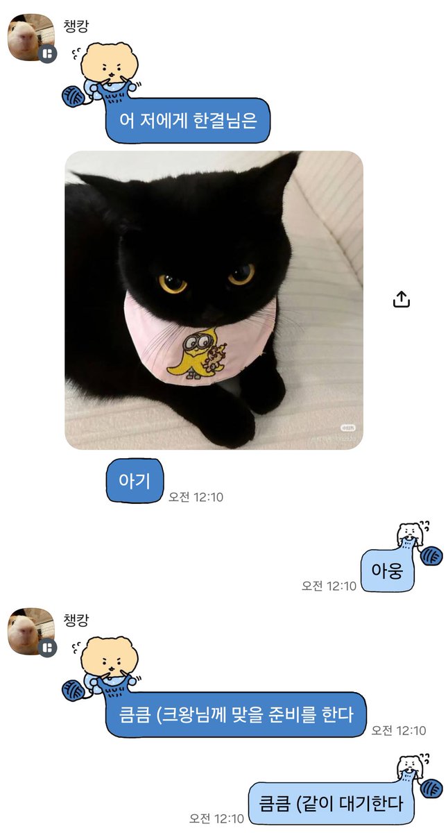 seedling_K's tweet photo. 크왕님!!! https://t.co/jwWkeJcghZ