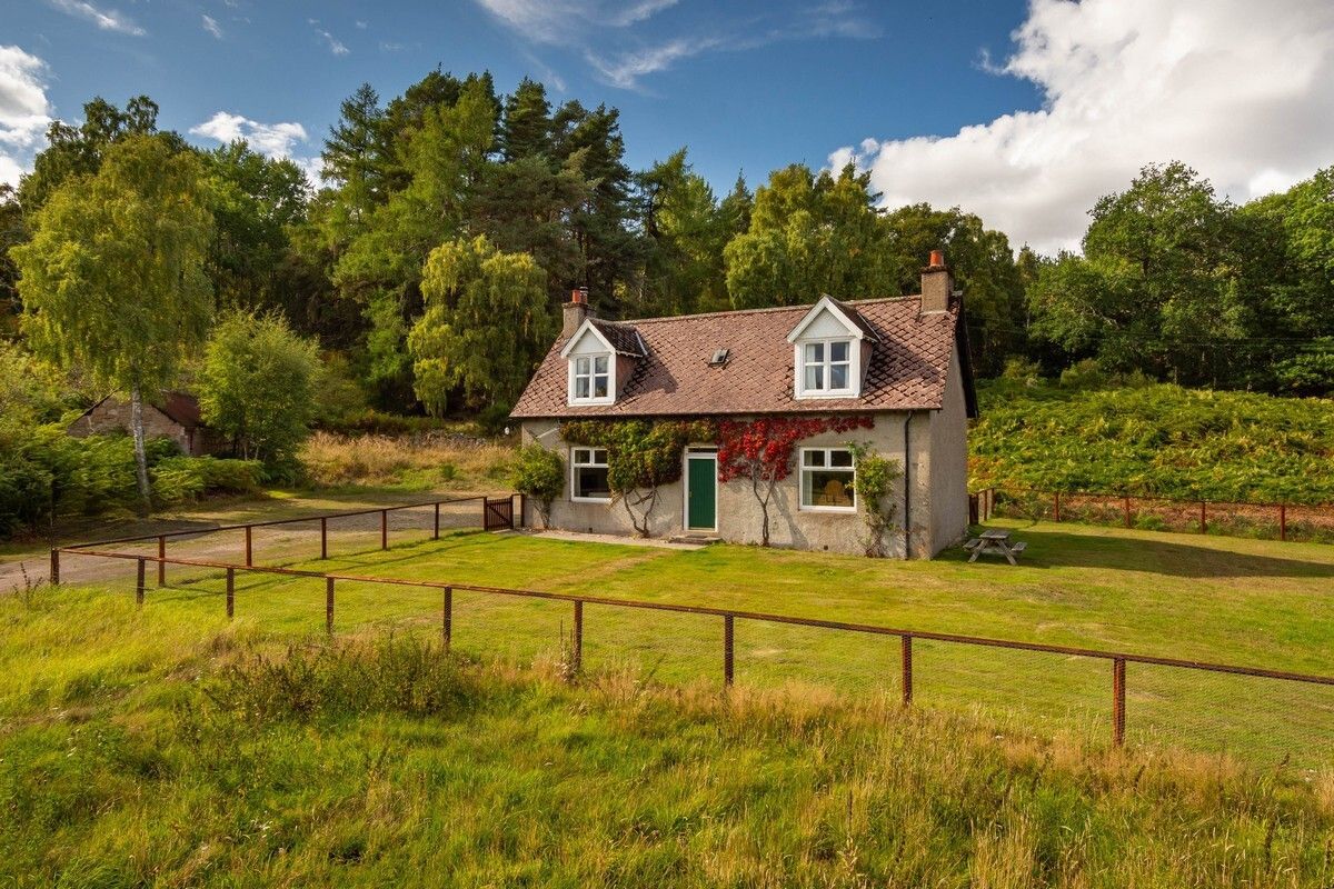 TheHolidayCots's tweet photo. Wisdomhowe is a traditional cottage, beautifully surrounded by peaceful birch & pine woodland. Its woodland setting makes it ideal for those looking to relax, unwind & enjoy a peaceful break surrounded by nature. ๐ฒ
๐๏ธSleeps 6
https://t.co/urFFw6wsJm
#Wisdomhowe #Dinnet #Aboyne https://t.co/wzW6HqbSJ3