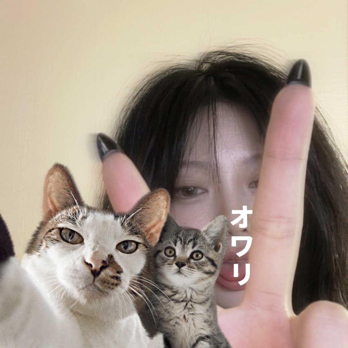 _lunat8_'s tweet photo. https://t.co/ikBtTAQOeM