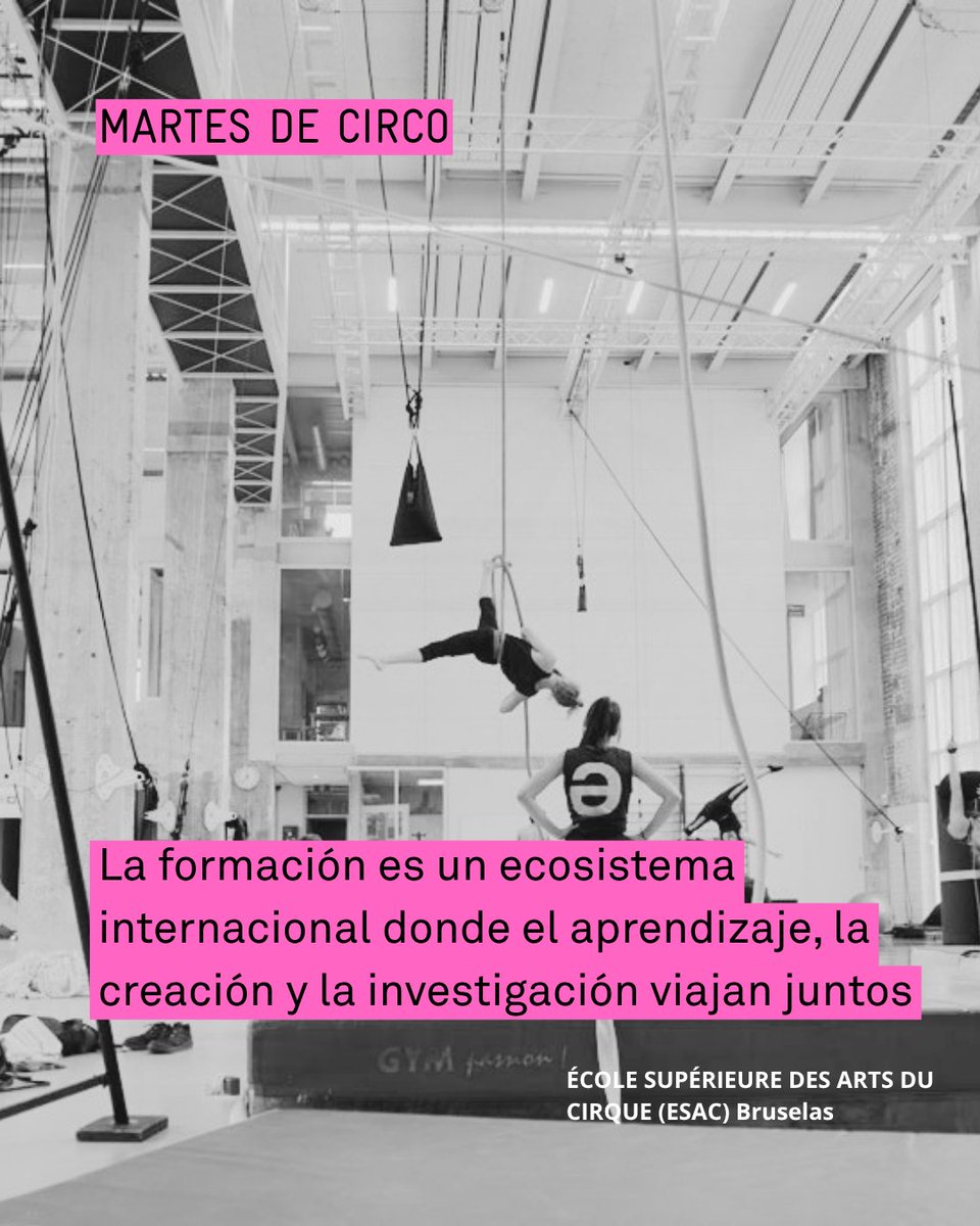 circoprice's tweet photo. La FEDEC (Fédération Européenne des Écoles de Cirque) es una red internacional que reúne a más de 90 organizaciones en más de 30 países, dedicada a impulsar la formación profesional, la creación y la evolución del circo contemporáneo.
#Martesdecirco https://t.co/pMIjfNBHaq