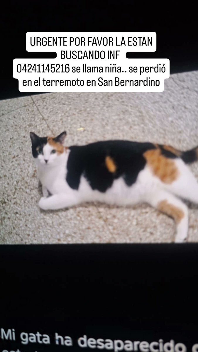 infinitoanimal2's tweet photo. 📢📢🆘🆘 URGENTE DIFUNDIR POR FAVOR 🆘🆘📢📢 🐾DF RT @gracon27 @PerroUsuario https://t.co/yzqwu12ak9