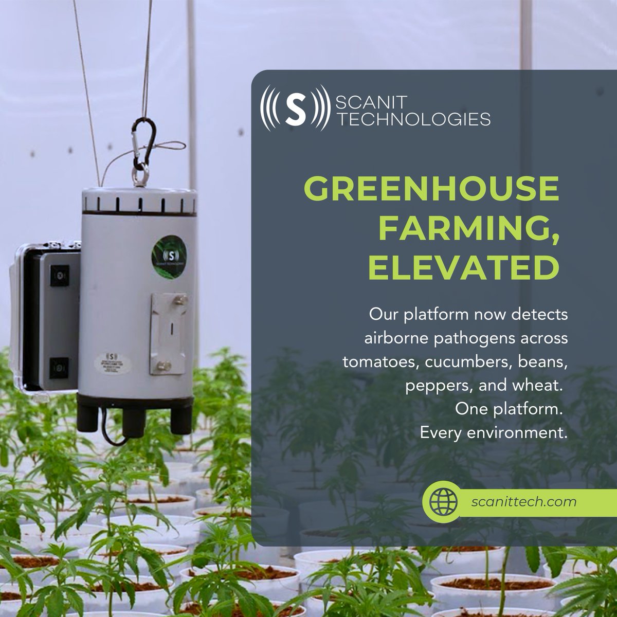 Scanittech's tweet photo. Working with @KheytiFarmers on R&amp;D: we’ve deployed SporeCam™ at their greenhouse to monitor airborne pathogens across tomatoes, cucumbers, peppers, beans and leafy greens. Goal: map disease dynamics in controlled-environment agriculture and improve early detection &amp; response. https://t.co/ZACHCjV1Rj