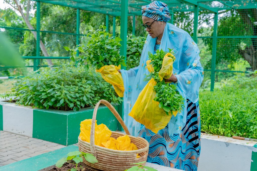 statehouse_Fl's tweet photo. First Lady of Nigeria, Senator Oluremi Tinubu harvesting vegetables, mid- year from her garden at then State House, Abuja where she encouraged Nigerians to sustain Home Gardening even as a source of food for the immediate family on Monday 6th July, 2026. https://t.co/ThL7v9ZsnH