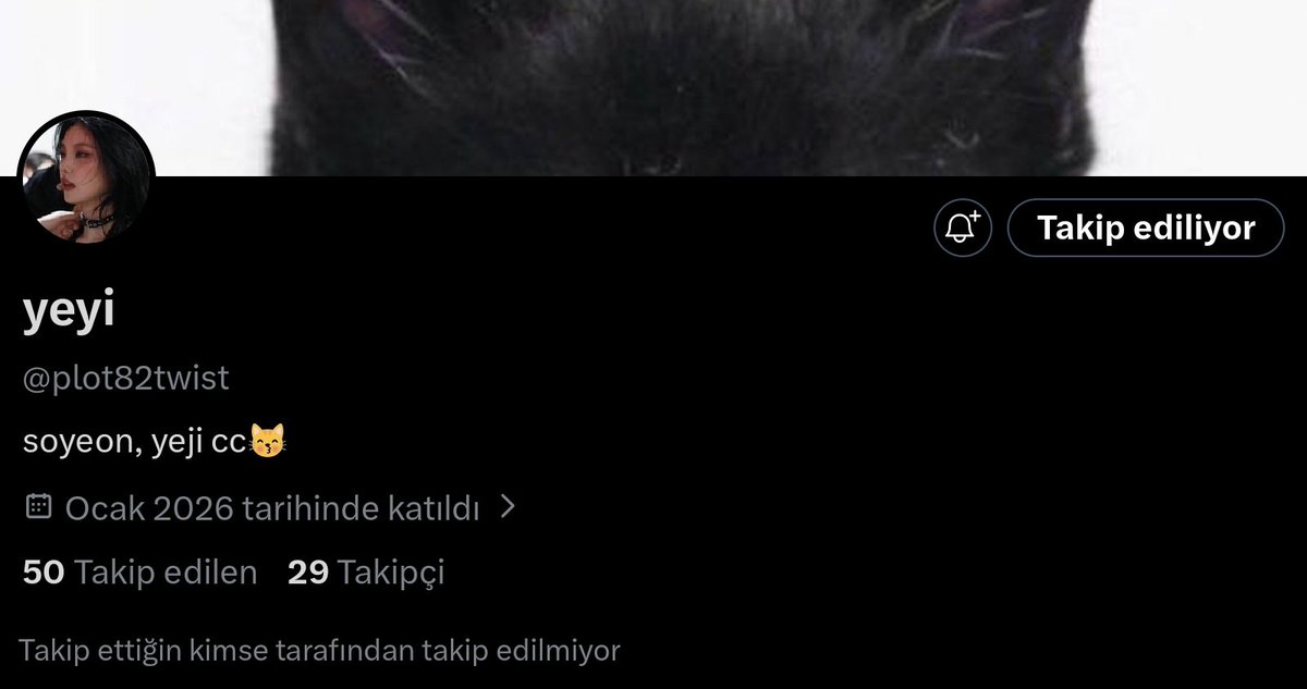 dora tweet media