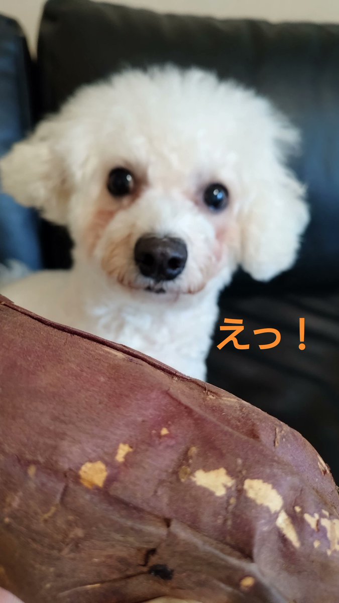 ponmel's tweet photo. https://t.co/KhEeLZHedt