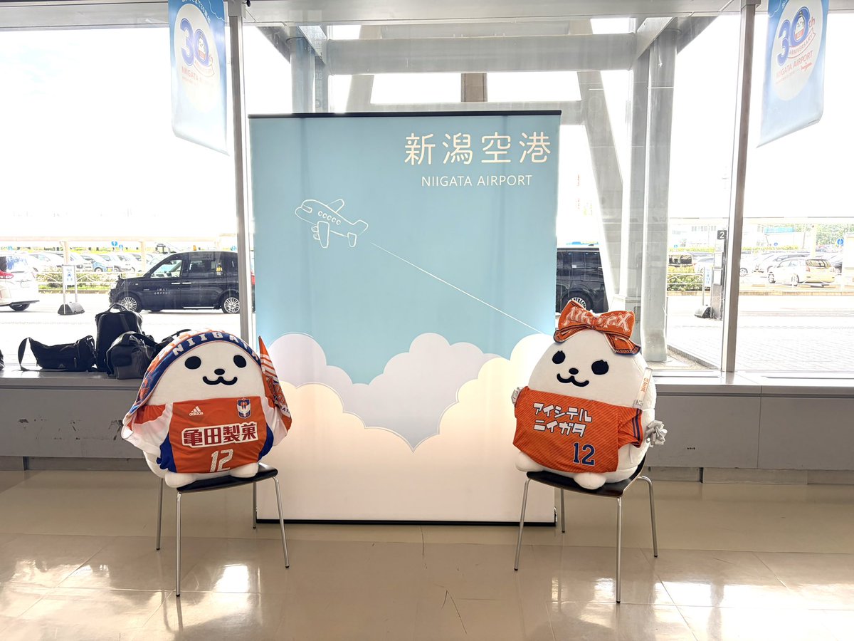 keiko_nomoto's tweet photo. 今日は新潟空港で、キャンプ出発取材。1月に続き、米るくんと米ちゃんがアルビサポーターになっていました。
本当にかわいい。
空港拡張30周年記念のステッカー欲しさに空港でランチを食べ、記念グッズのトートも買ってしまいました。 https://t.co/QQRBbbulxJ