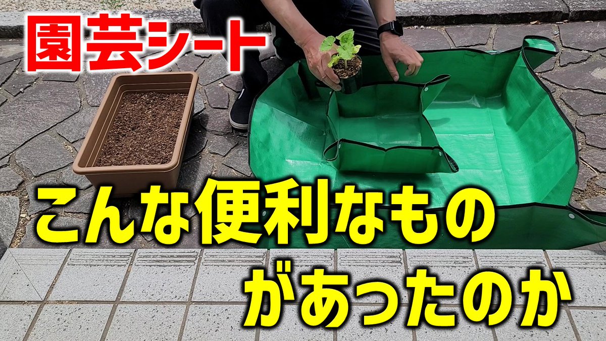 norakichi93's tweet photo. 【これは便利】園芸シート2枚セット。家庭菜園など外の作業で色々使える。 (のらきち先生)
https://t.co/Eb0hWIFXtn

#園芸シート
#家庭菜園 https://t.co/3C3L77zMPo