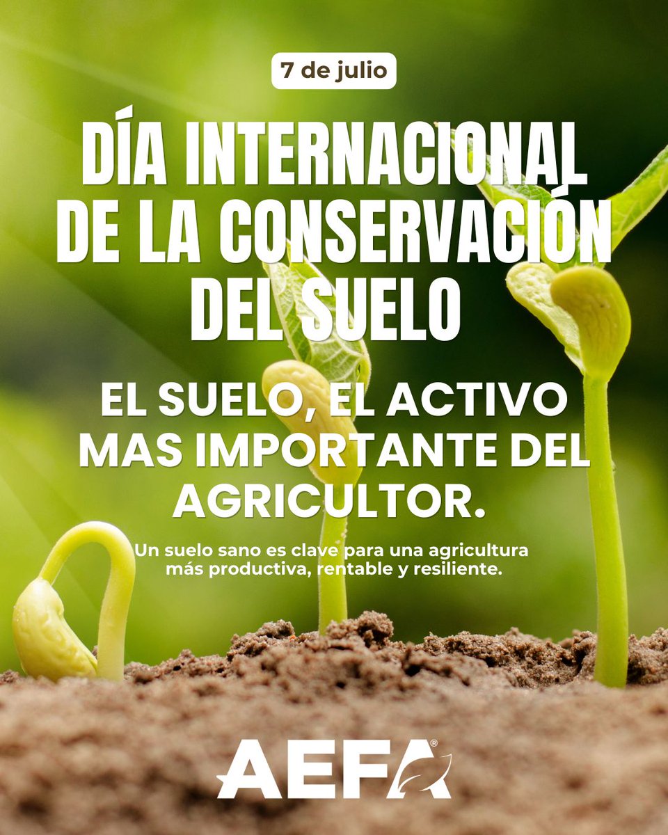 AefaAgro's tweet photo. 🌱Nos sumamos al #DíaDeLaConservaciónDelSuelo, un activo esencial para la #agricultura, ya que sostiene el 95% de la producción de alimentos🧑‍🌾

🤝En AEFA impulsamos soluciones como #bioestimulantes y fertilizantes que contribuyen a unos suelos más sanos, eficientes y resilientes. https://t.co/WBxajn1T9L