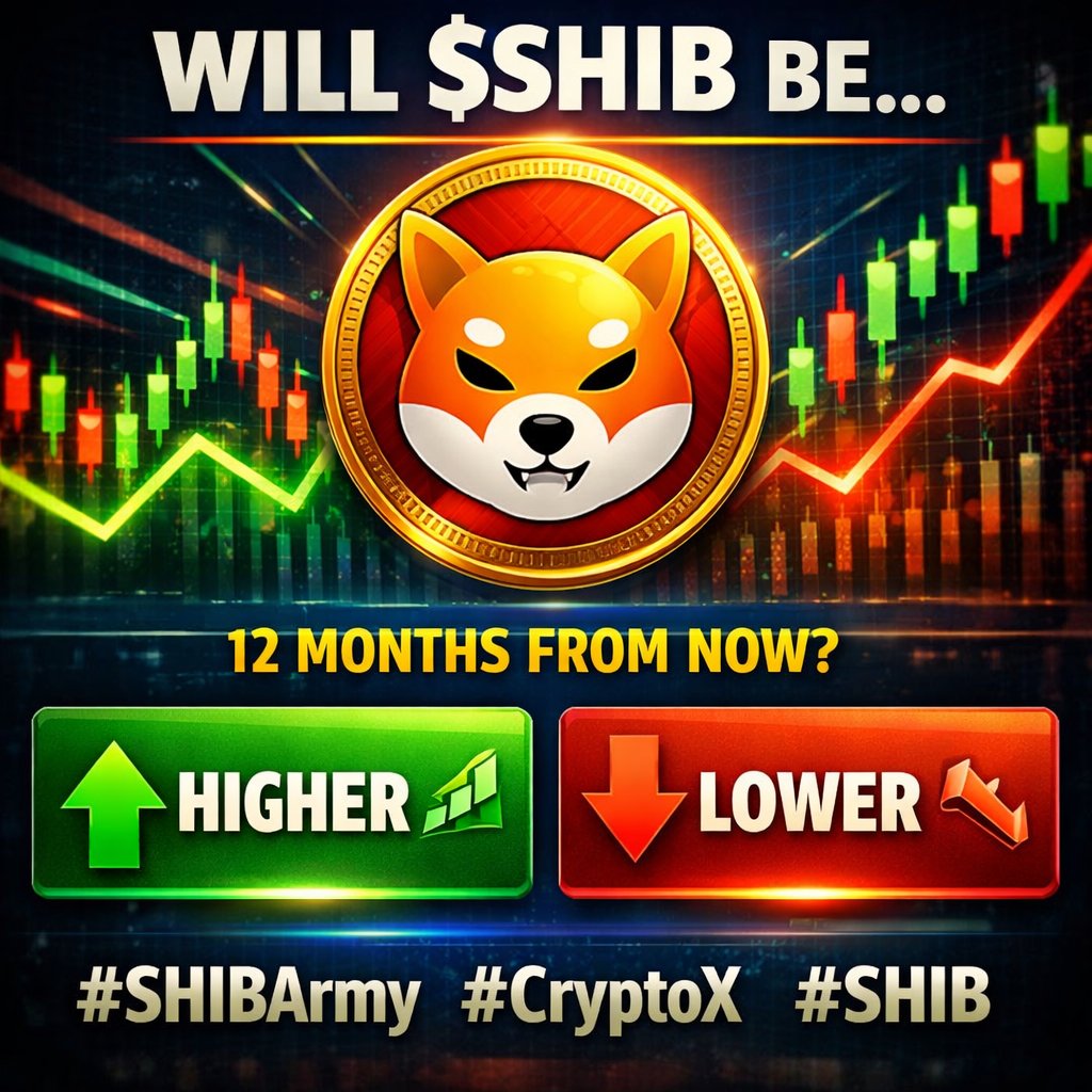 SHIB PROGRESS tweet media