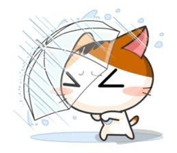 #kuro ;; (●°u°●)​ 」 tweet media