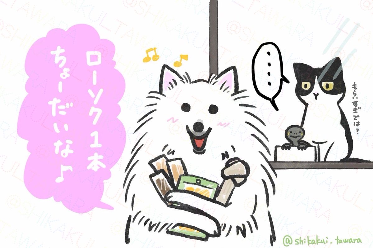shikakui_tawara's tweet photo. 本日、居住地域では「ロウソクもらい」なる伝統行事?でお子様たちが楽しそう！
七夕飾りのあるお店やお宅で「ロウソク1本ちょうだいな」と言うとお菓子をもらえるんだとか…。越してきて初めて知った時は驚きましたが、そういう地域ならではの文化いいですね。
しかくも行くか！😁
#日本スピッツ #七夕 https://t.co/xjg1mNg4lR