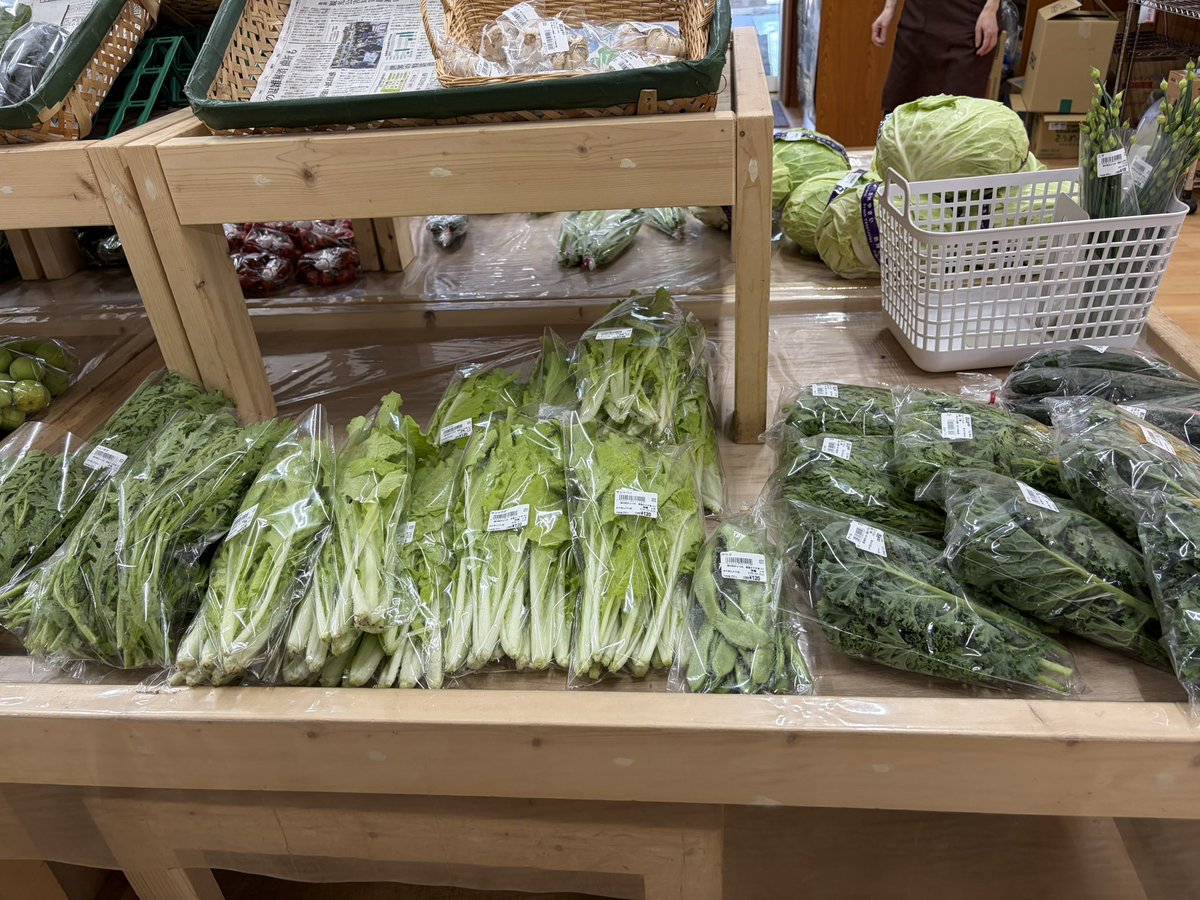 ws_aslp's tweet photo. #オドデ館 の野菜🫛やばいッ！

ケール🥬山東菜、春菊、キクラゲ
バジル🌿空芯菜、大葉、ニラの芽🌱、朝摘みピーマン🫑などなど…
ある意味天国です😻 https://t.co/Fq3NlzZhBT