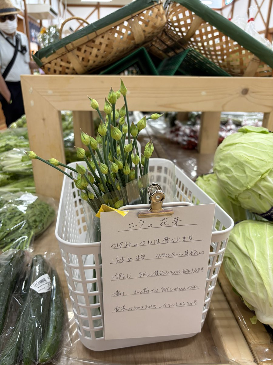 ws_aslp's tweet photo. #オドデ館 の野菜🫛やばいッ！

ケール🥬山東菜、春菊、キクラゲ
バジル🌿空芯菜、大葉、ニラの芽🌱、朝摘みピーマン🫑などなど…
ある意味天国です😻 https://t.co/Fq3NlzZhBT